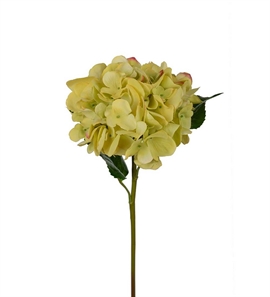 Hortensia "Real Touch" 55 cm. Lime